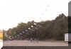 PICT0736.JPG